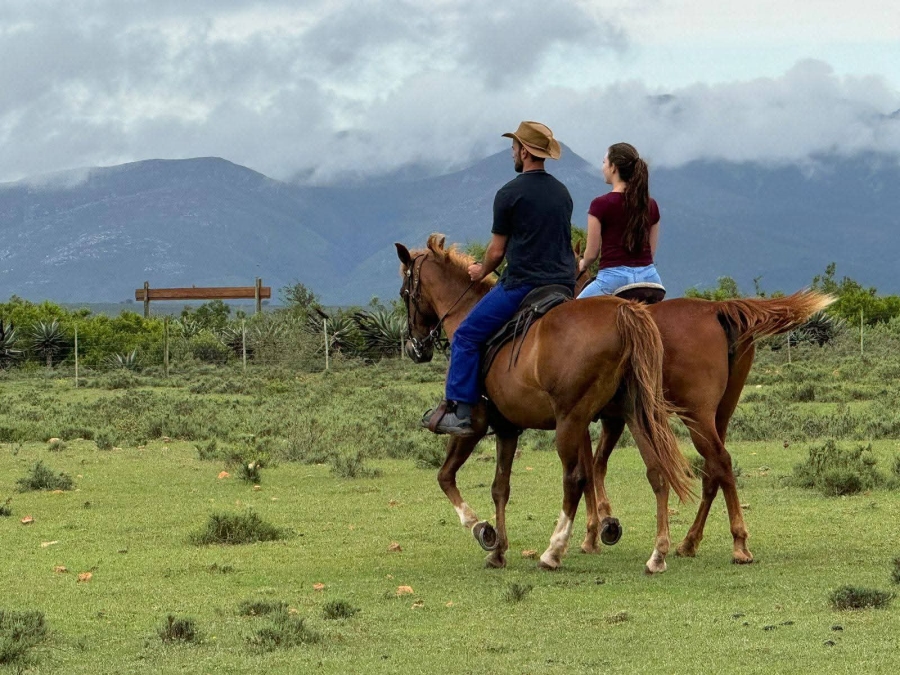 4 Bedroom Property for Sale in Mossel Bay Rural Western Cape